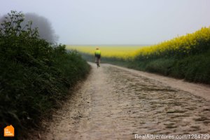 Spring Classics 2015 Race Viewing Tour | Brussel, Belgium | Bike Tours