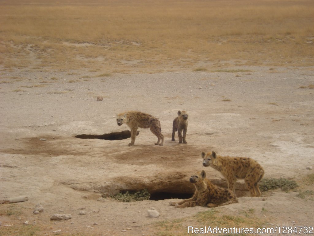 The Caves | Budget Camping Safaris In Kenya | Image #10/15 | 