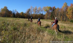 Guided Horseback Riding In The Northeast Kingdom