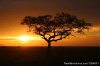 Tailor Made Safaris to Tanzania | Arusha, Tanzania