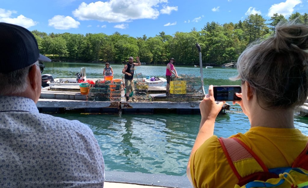 Oyster Farms & Seal Watching Tour | Damariscotta River Cruises | Image #3/7 | 