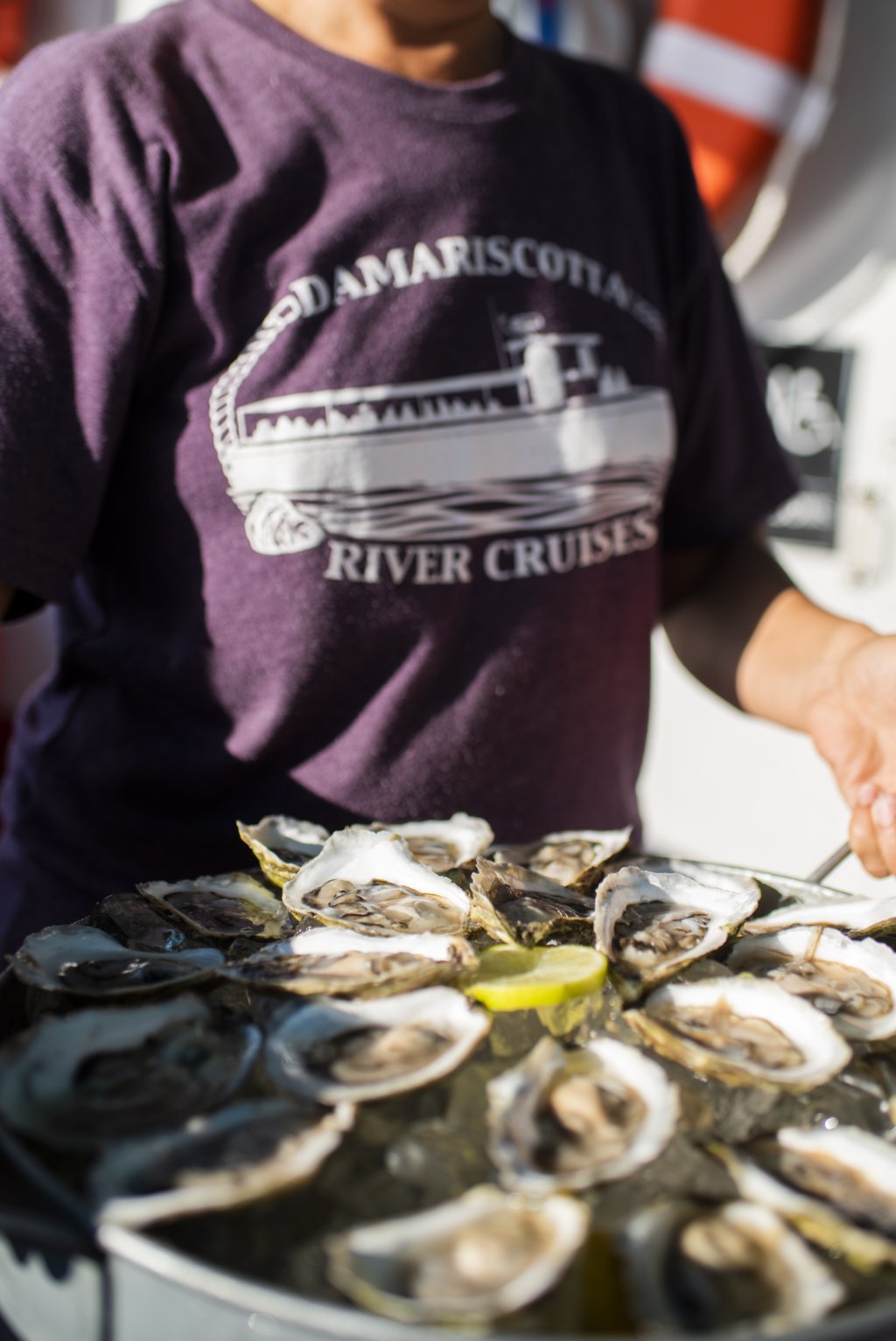 Oyster Farms & Seal Watching Tour | Damariscotta River Cruises | Image #5/7 | 