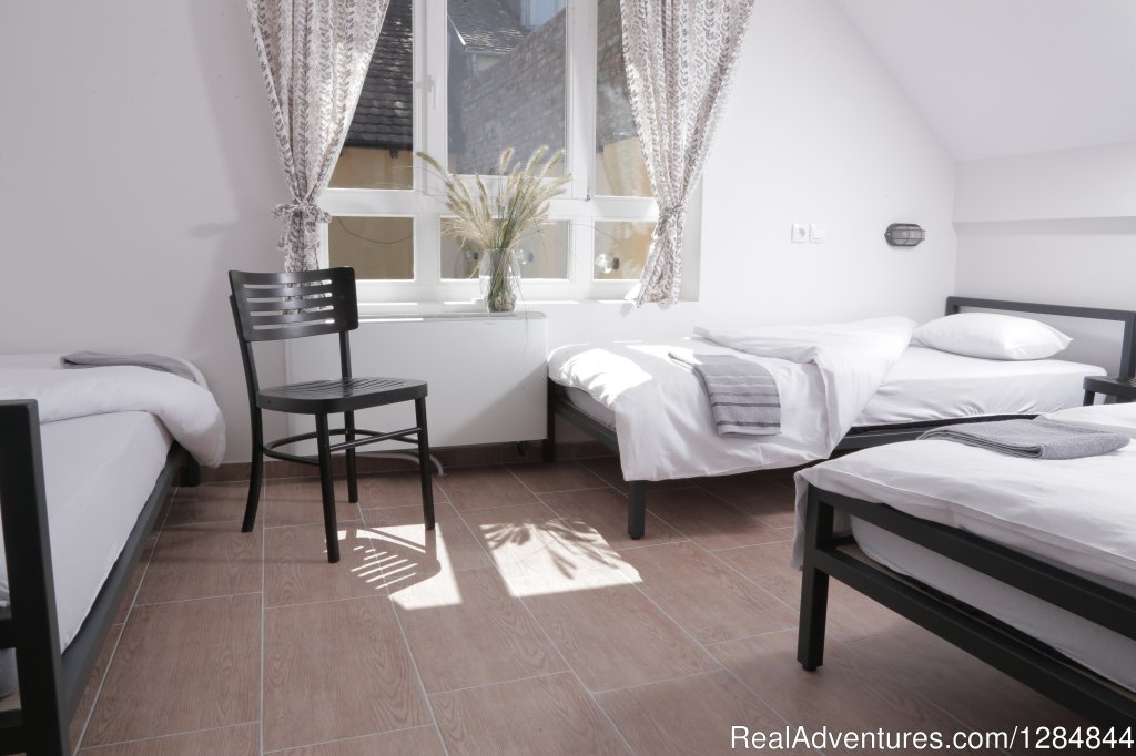 Four bed dorm with garden view and private bathroom | Novi Sad's Hidden Gem at the foot of the Fortress | Image #3/4 | 