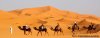 Rovemoroccotravels - Private & Custom Tours | Marrakrch, Morocco