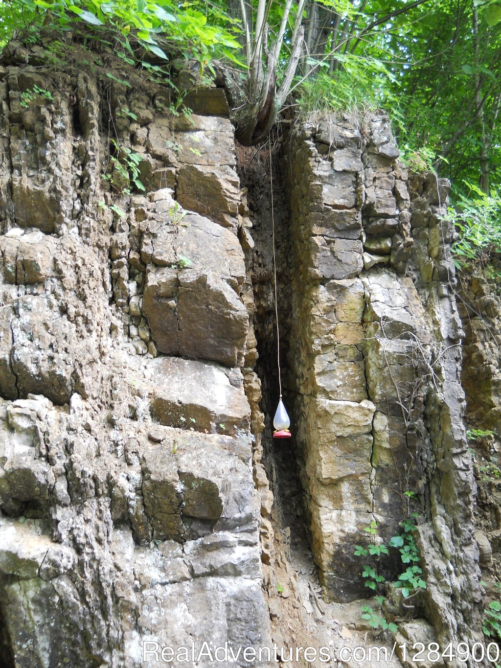 Coral Caverns Pennsylvania | Prehistory Adventures | Norfolk, Virginia  | Eco Tours | Image #1/4 | 