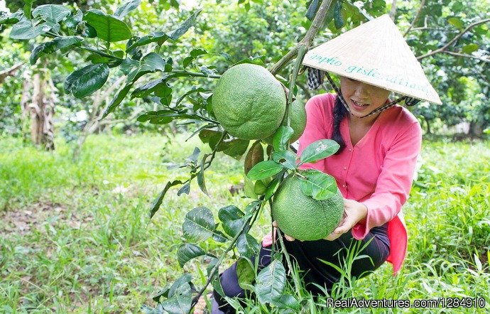 Discover Real Authentic Mekong Delta in Vietnam | Image #2/8 | 