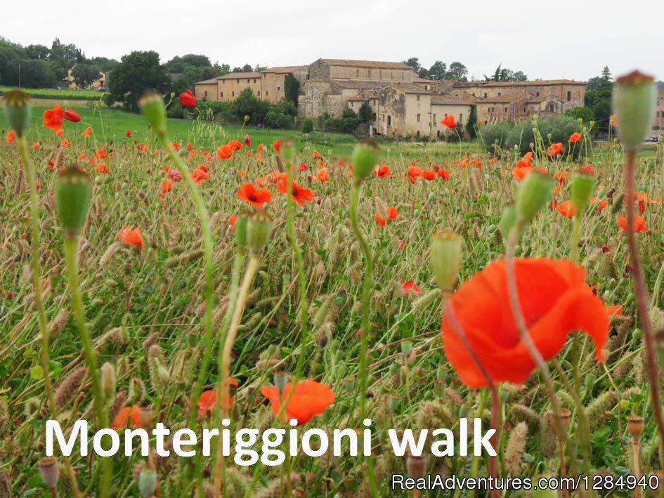 Tuscany Hilltop Towns Walking Tour May 8-15, 2016 | Image #13/23 | 