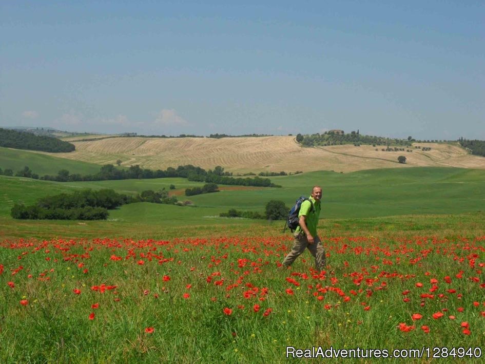 Tuscany Hilltop Towns Walking Tour May 8-15, 2016 | Image #17/23 | 