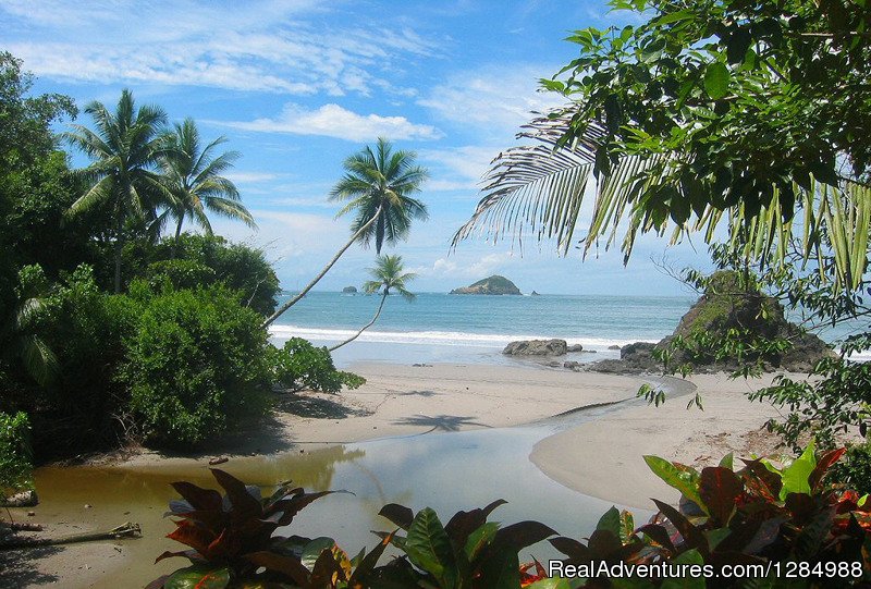 Manuel Antonio | Volunteer Adventures in Costa Rica | Image #10/12 | 