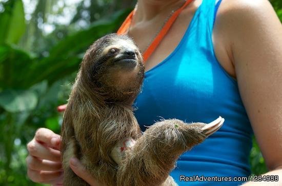 Volunteering in Costa Rica | Volunteer Adventures in Costa Rica | Image #7/12 | 