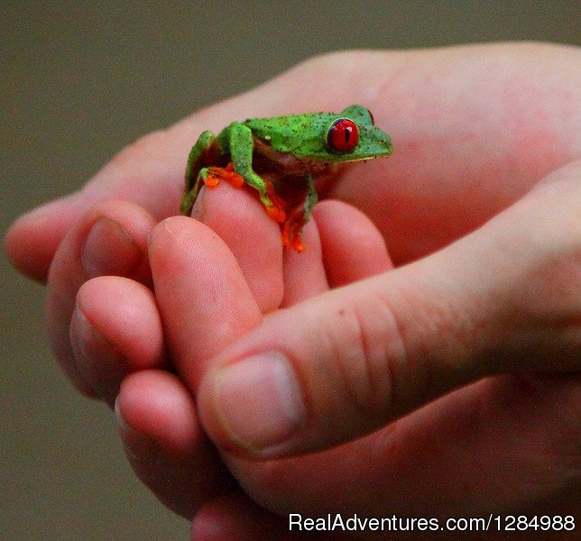 Volunteering in Costa Rica | Volunteer Adventures in Costa Rica | Image #9/12 | 