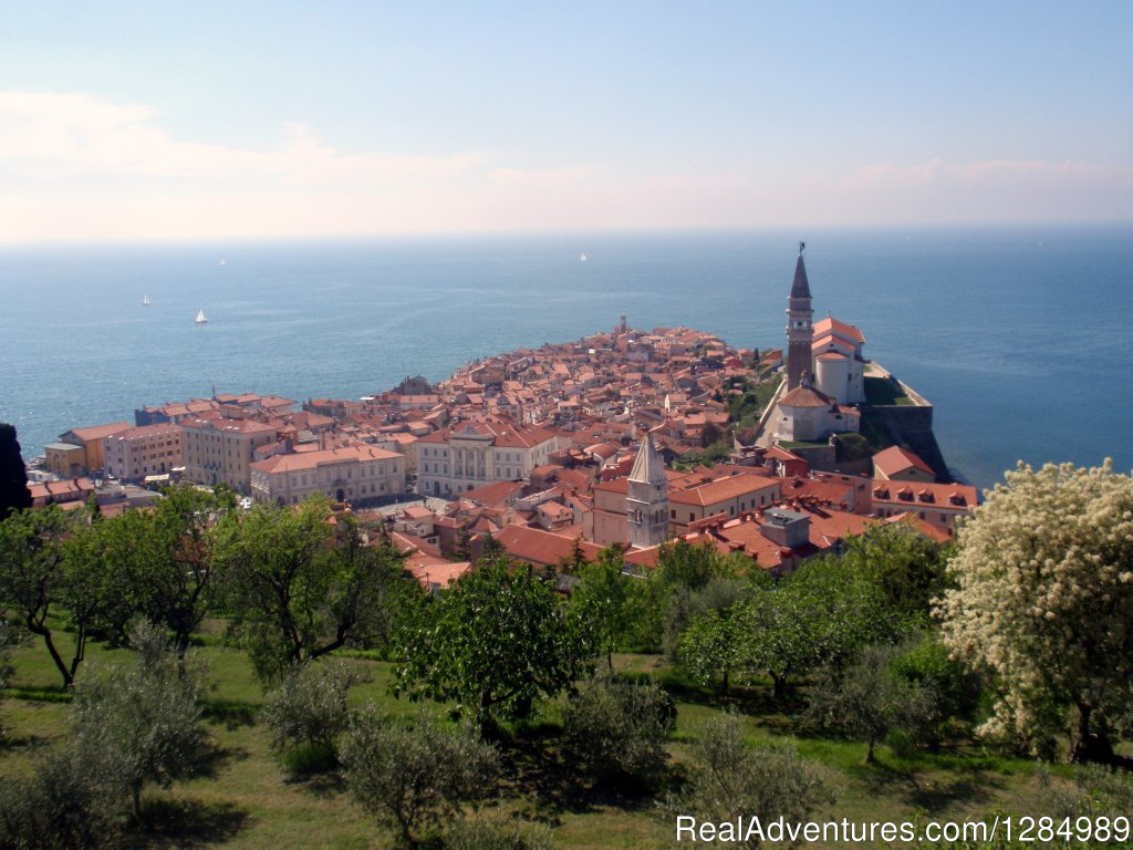 Piran | Discover gourmet country Slovenia | Ljubljana, Slovenia | Sight-Seeing Tours | Image #1/1 | 