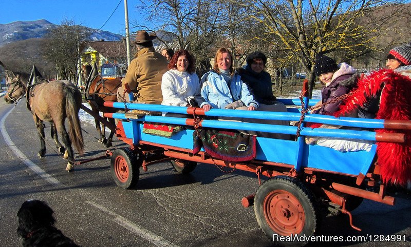 Premier Cowboy Trail Horseback Riding in Croatia | Image #21/26 | 