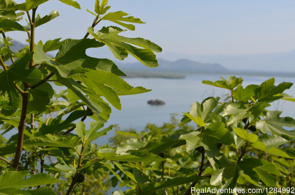 Explore Skadar Lake Multi-Active Holidays | Image #2/10 | 