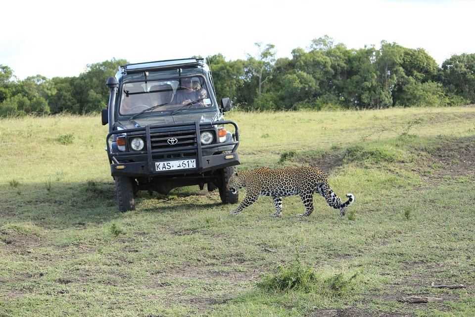 Volunteer Safari Kenya | Best Volunteer Organization In Kenya | Image #7/7 | 