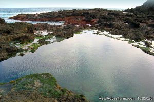 Cape Schanck Light House Accommodation