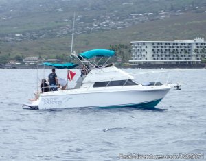 Dolphin Journeys - Kona Coast  Big Island Hawaii | Kailua Kona, Hawaii | Eco Tours