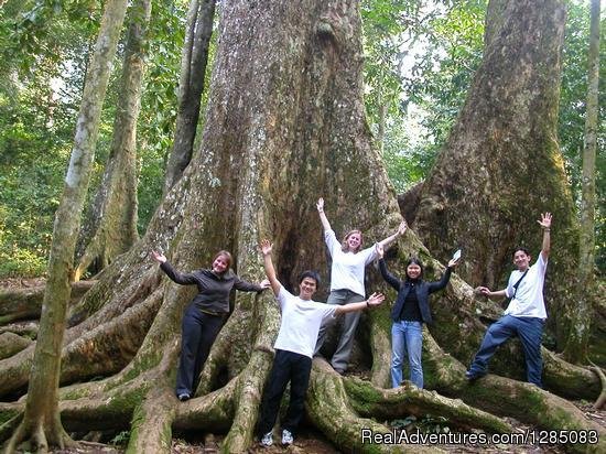 Parc national de Cuc Phuong | Nature Viet Tour | Image #4/5 | 