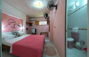 Hostal Omara in Trinidad