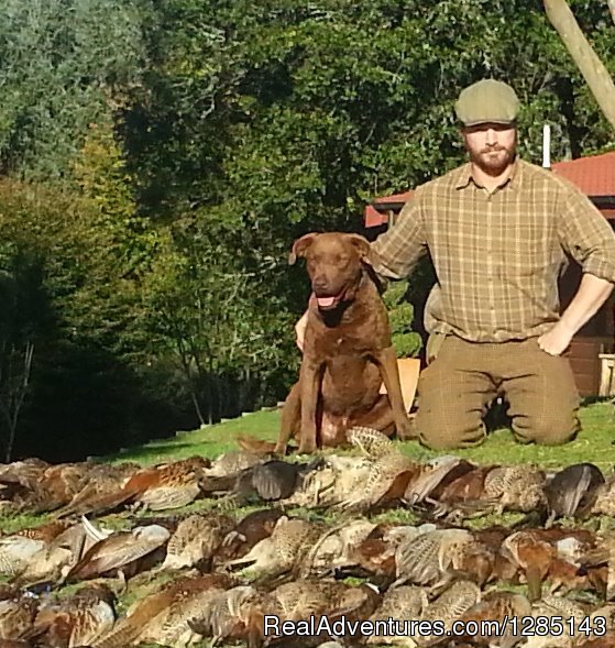 New Zealand Goat bow hunting - waikato bow hunter | 2 Days Bow Hunting Goats New Zealand | Image #7/7 | 