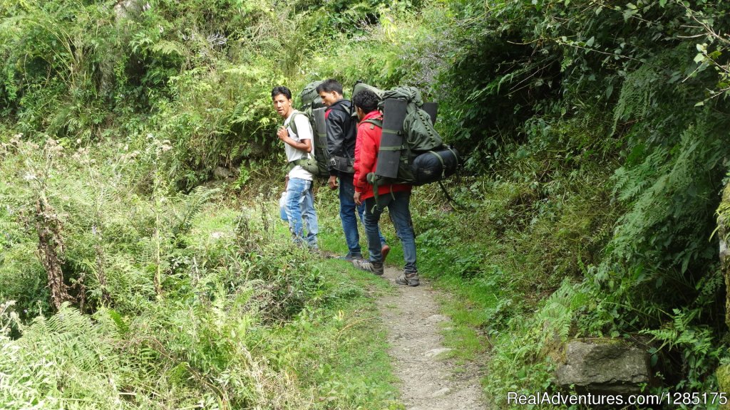 Professional Trekker towards Great Himalayan national Park | Adventure in Indian Himalayas | Image #3/16 | 