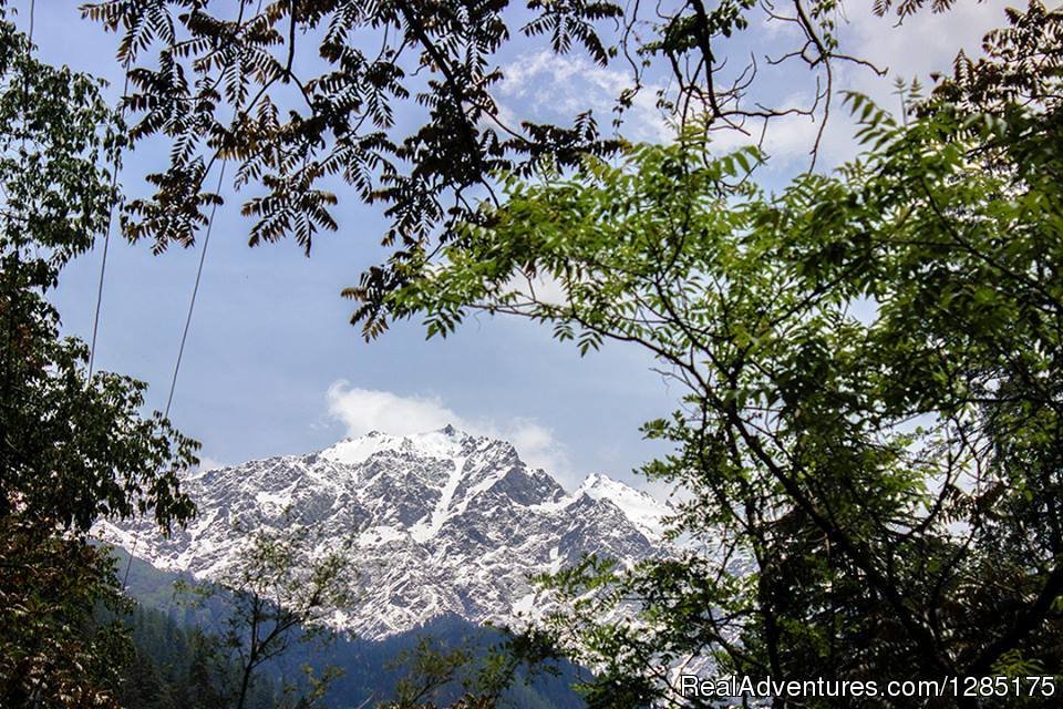 Himalayas snow covered paek | Adventure in Indian Himalayas | Image #16/16 | 