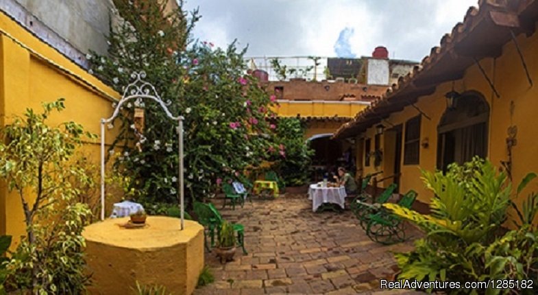 Garden | Hostal Casa ayala en Trinidad | Image #8/15 | 