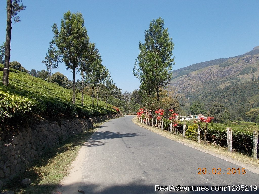 Ride to Tea Plantation with Motorcycle Monks | Motorcycle Monks | Image #11/25 | 