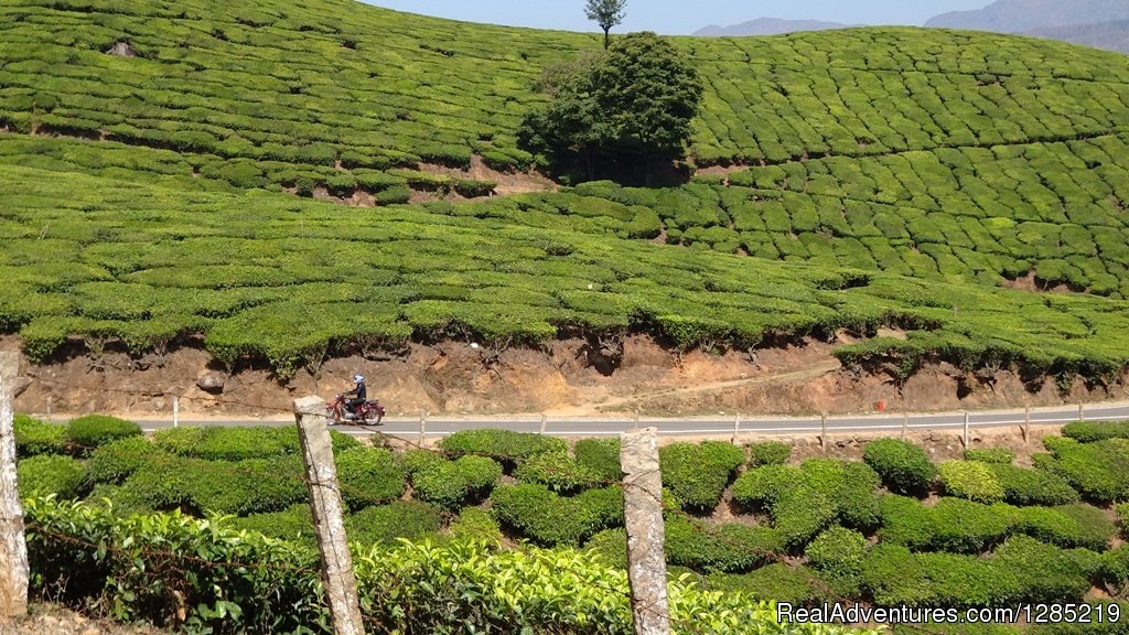 Motorcycle rides to South india | Motorcycle Monks | Image #23/25 | 