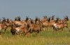 Dunia Tours & Safaris | Arusha, Tanzania