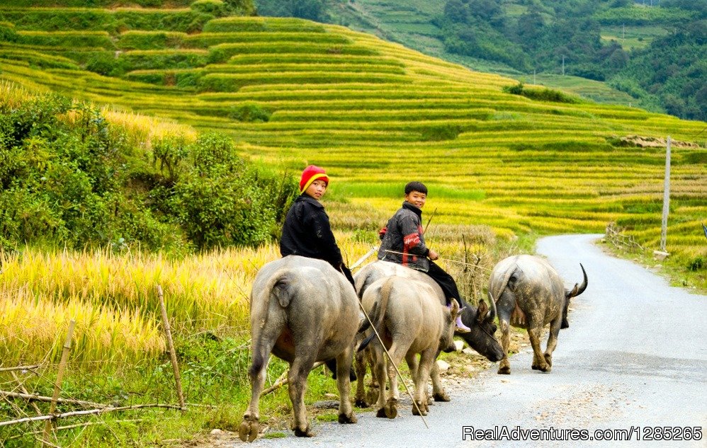 Sapa Package Tour | Image #4/5 | 