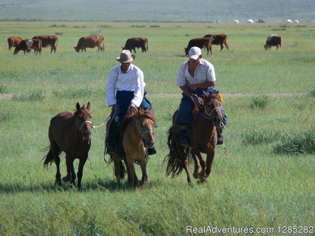 'While your horse is strong, travel to see places.' Proverb | Local trips of discovery through the real Mongolia | Image #5/9 | 