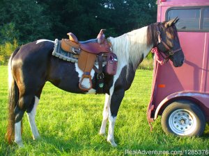 Riding Lessons at Spring Wind Stables