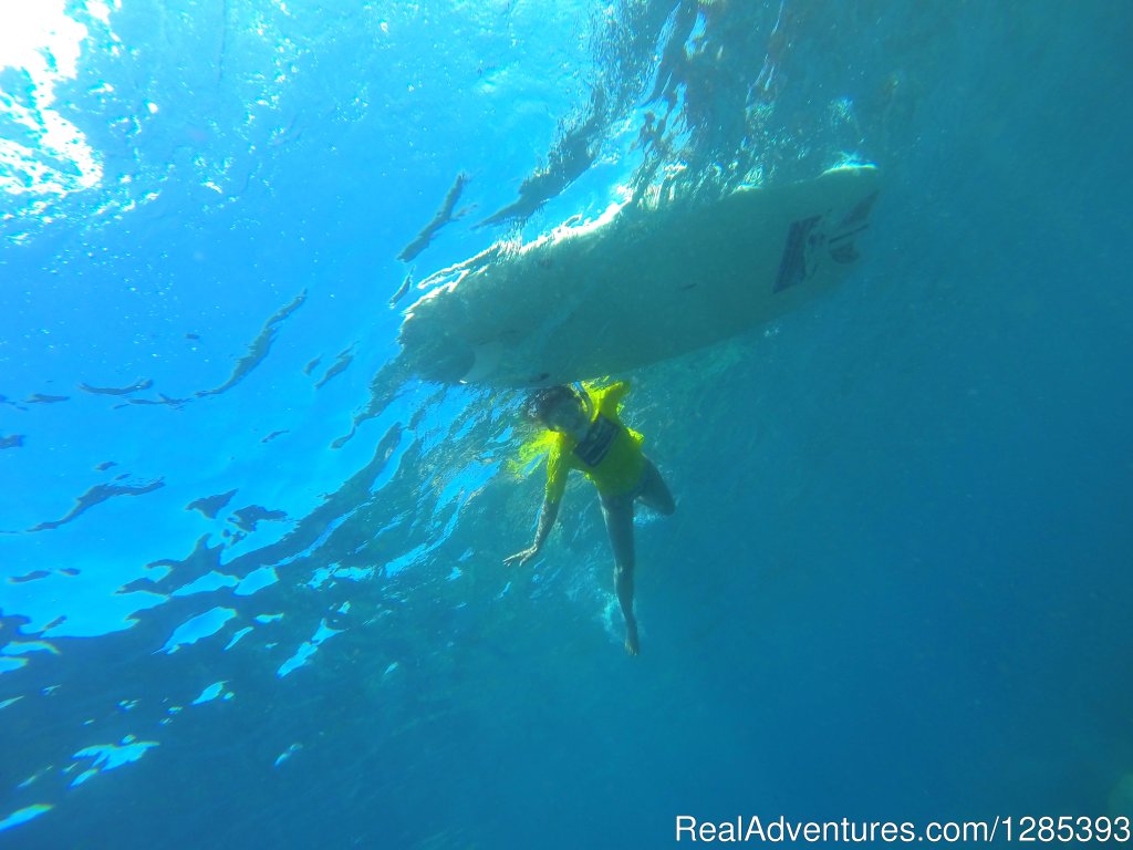 2MADEIRA Surfing camp | Surfing camp on Madeira Island 'Hawaii of Europe' | Image #5/9 | 