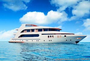 Adora Best Luxury Crusie