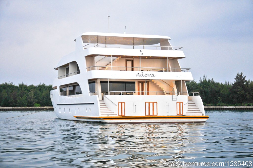 Adora view form back | Adora Best Luxury Crusie | Image #5/23 | 