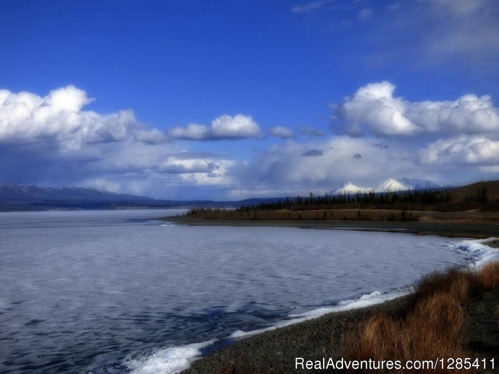 Canada - Alaska Highway | Alaska, Canada, Usa In A Converted School Bus | Image #5/7 | 