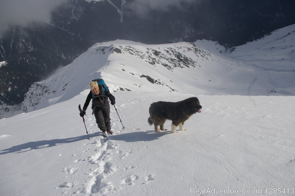 Alpine Adventure Romania Outdoor Tours | Image #7/19 | 