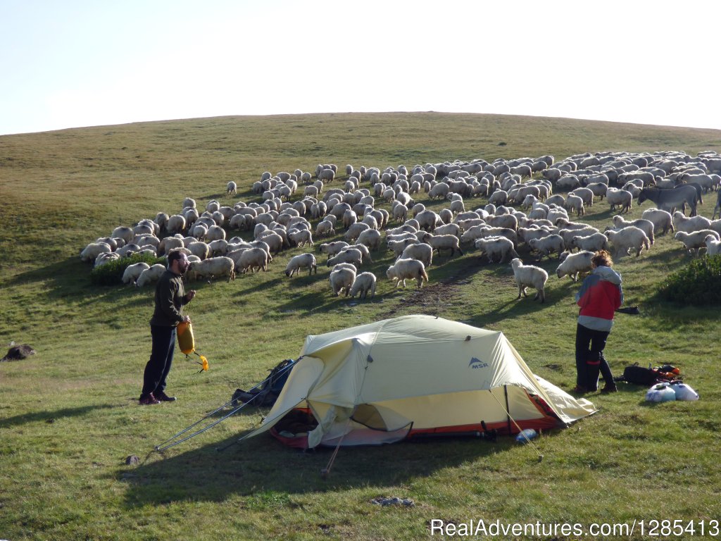 Alpine Adventure Romania Outdoor Tours | Image #14/19 | 