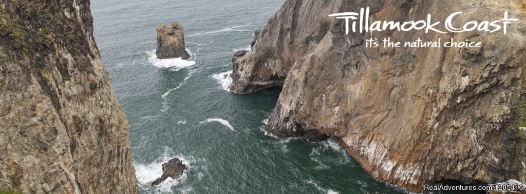 Visit Tillamook Coast | Tillamook, Oregon  | Whale Watching | Image #1/9 | 