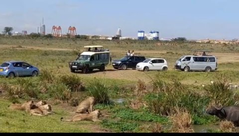 Nairobi National Park