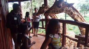 Nairobi Excursions Tours | Nairobi, Kenya Sight-Seeing Tours | Great Vacations & Exciting Destinations