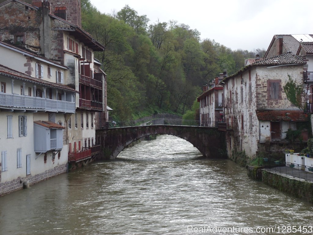 Walk The Camino Frances: St-jean To Pamplona | Image #4/4 | 