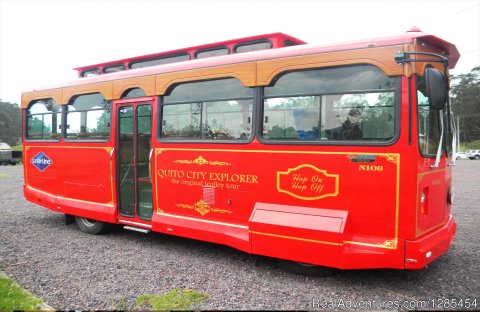 Trolley Bus