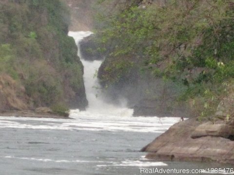 Murchison falls