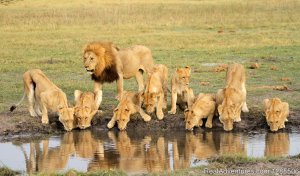 Jamboree Africa Tours and Safaris | Nairobi, Kenya | Sight-Seeing Tours