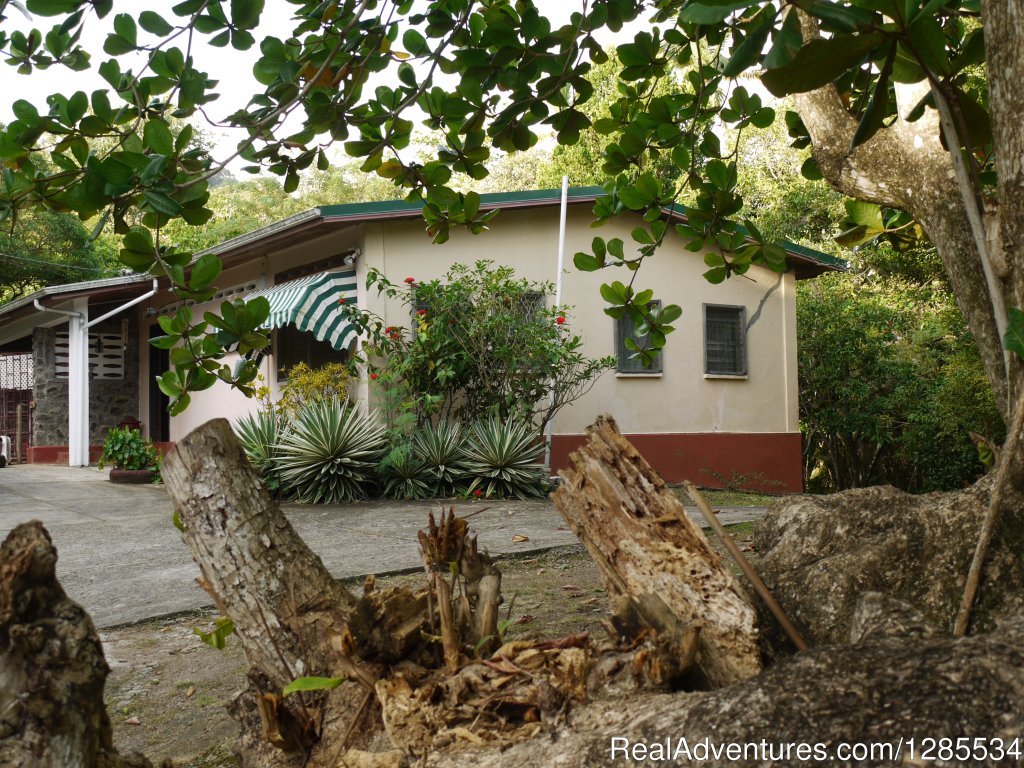 Side view of house | A Peace of Paradise in Beautiful St. Lucia | Image #6/11 | 