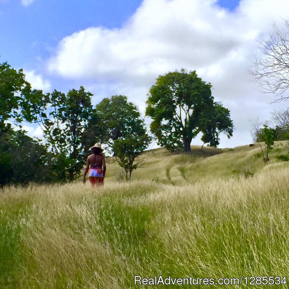 Hiking with Melvin | A Peace of Paradise in Beautiful St. Lucia | Image #7/11 | 