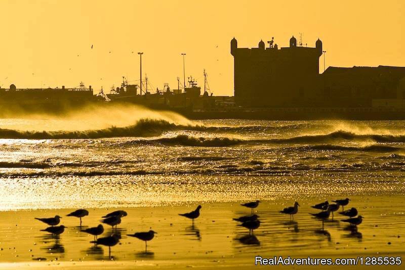 Essaouira | Morocco Sahara Holiday & Tours | Image #3/13 | 