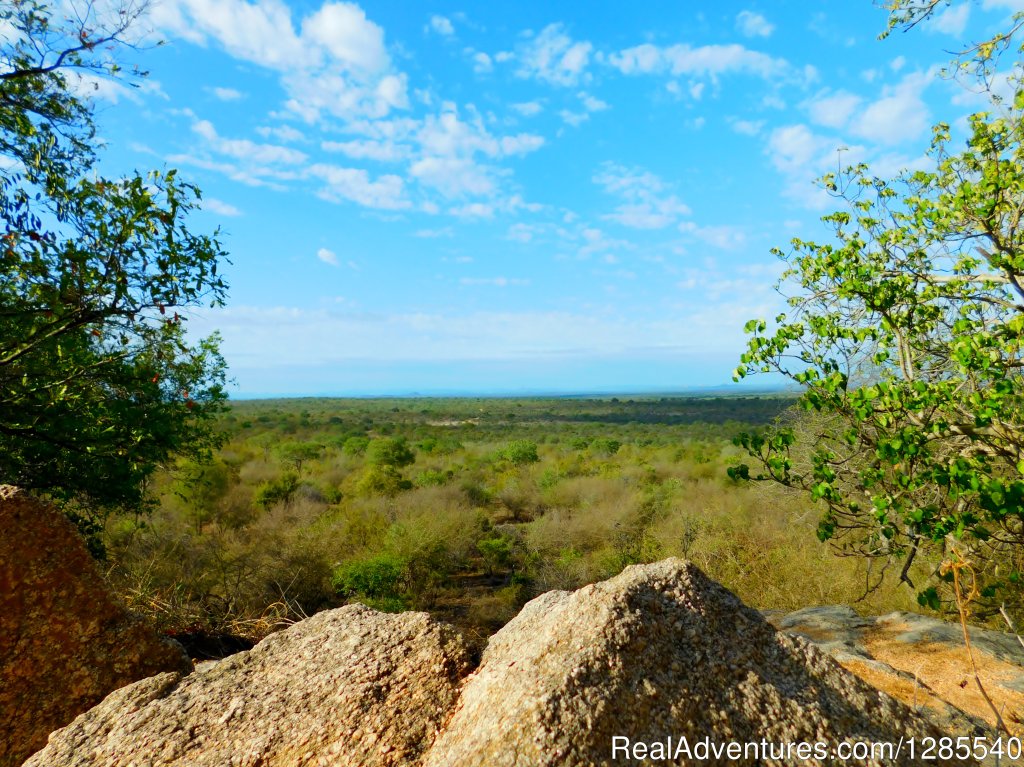 Kruger National Park South Africa. | Authentic Kruger Park Safari Experiences. | Image #7/11 | 